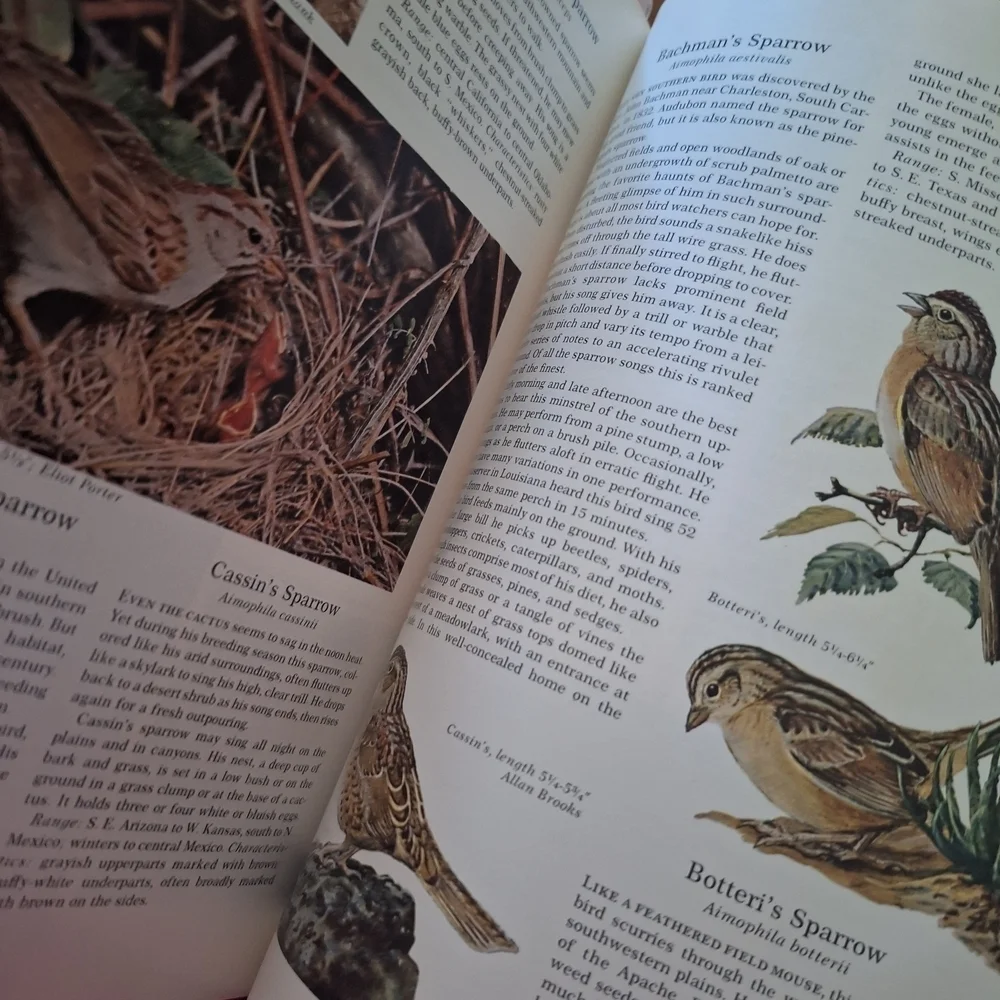 National Geographic Blue and White Bird Guide
